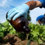 Environmental Biotechnologist