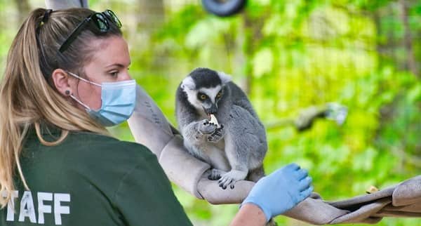 Wildlife Biologist